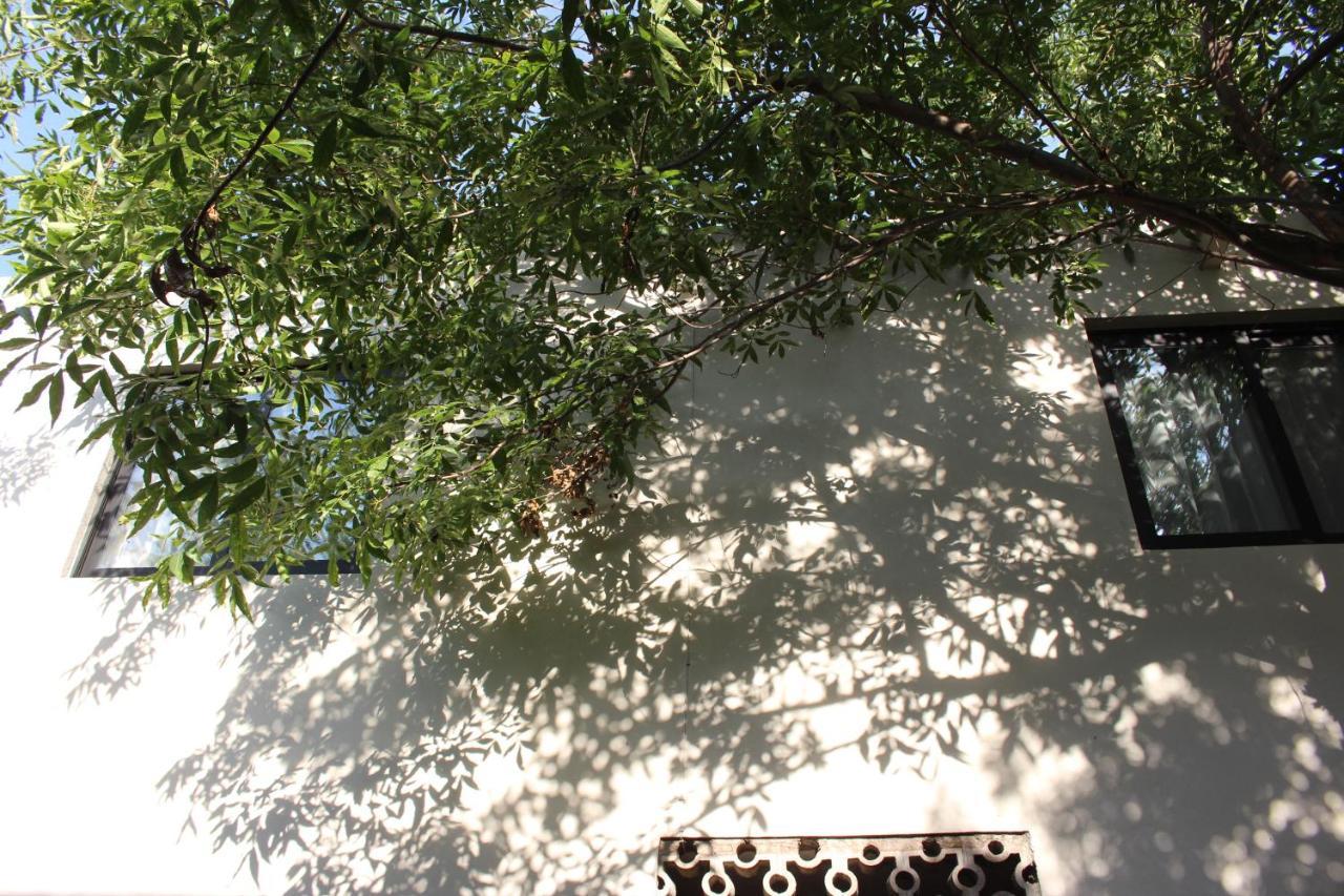 Entre Patios Hotel Boutique León Exterior foto